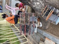 IMG_0487.jpeg