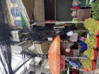 IMG_0502.jpeg