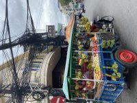 IMG_0500.jpeg