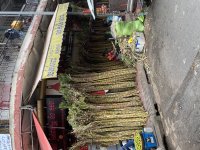 IMG_0493.jpeg