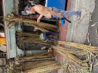 IMG_0495.jpeg