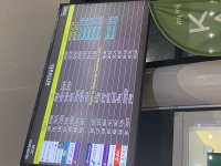 IMG_0558.jpeg