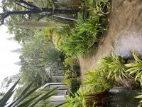 IMG_0574.jpeg