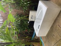 IMG_0577.jpeg