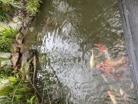 IMG_0641.jpeg
