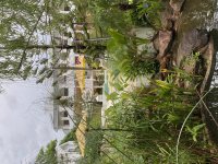IMG_0642.jpeg