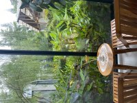 IMG_0573.jpeg