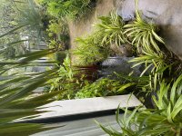 IMG_0575.jpeg