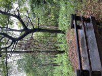 IMG_0633.jpeg