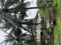 IMG_0632.jpeg
