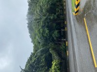 IMG_0626.jpeg