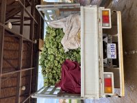 IMG_0686.jpeg