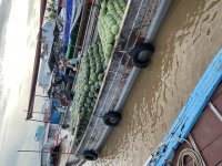 IMG_0739.jpeg