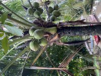 IMG_0760.jpeg