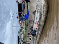 IMG_0741.jpeg