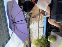 IMG_0772.jpeg