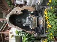 IMG_0810.jpeg