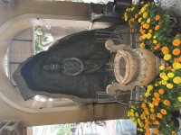 IMG_0811.jpeg