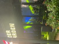 IMG_0896.jpeg