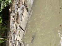 IMG_0942.jpeg