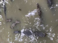 IMG_0949.jpeg