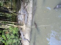 IMG_0956.jpeg