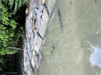 IMG_0957.jpeg