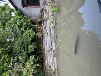 IMG_0959.jpeg