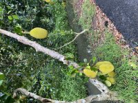 IMG_0961.jpeg