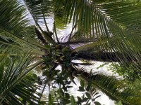 IMG_0962.jpeg