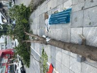 IMG_1046.jpeg