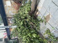 IMG_1044.jpeg