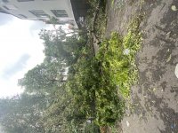 IMG_1037.jpeg