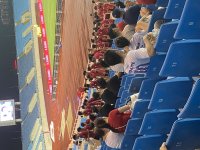 IMG_1113.jpeg