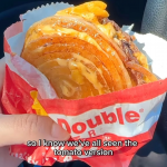 onion bun.png