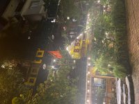 IMG_1424.jpeg