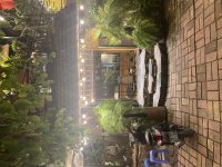 IMG_1426.jpeg
