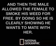 IMG_1441.jpeg