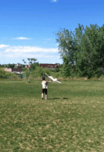 SmartSelect_20240418_083927_Chrome.gif