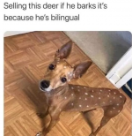 1726842956529.png