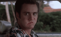 1726971770311.gif
