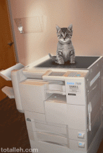 1727019936962.gif