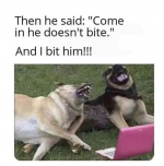 1727363777557.png