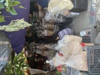 IMG_1782.jpeg