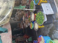 IMG_1783.jpeg