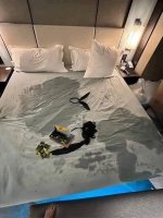 IMG_1851.jpeg