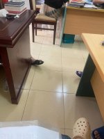 IMG_2023.jpeg