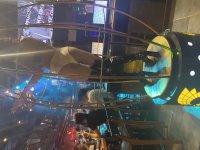 IMG_2213.jpeg