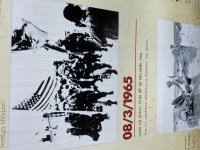 IMG_2294.jpeg
