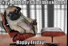 friday3.jpg